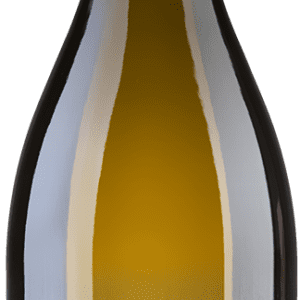 vin blanc GT-VIOGNIER Cotes du Rhone  AOP LePlan-Vermeersch